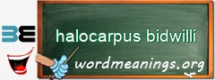 WordMeaning blackboard for halocarpus bidwilli